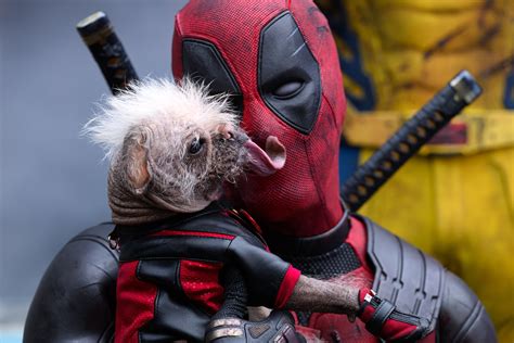 Deadpool & Wolverine: 8K Ultra HD Adventure .